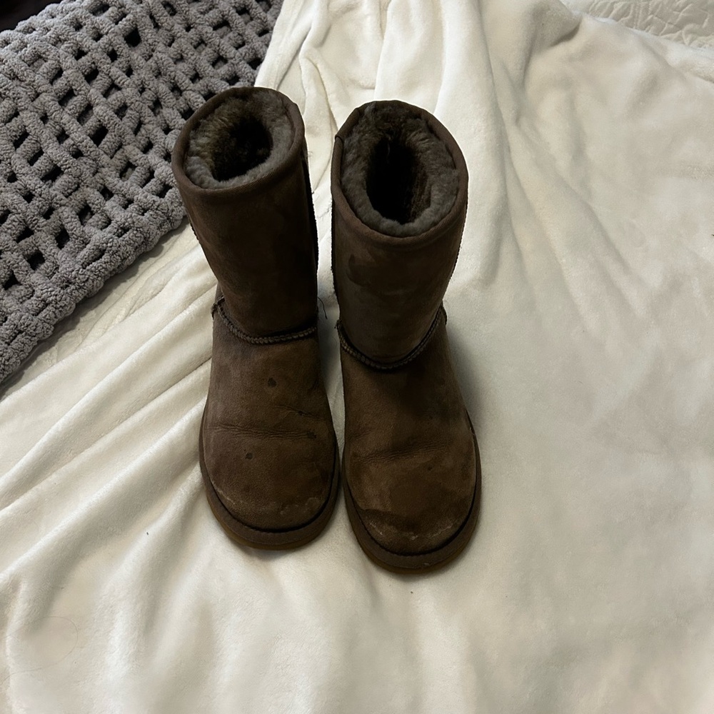 ugg mocha-gray